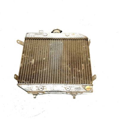 02 Honda Foreman Rubicon 500 TRX500 4x4 OEM Radiator Assembly 19010-HN2-505 AH85