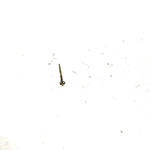 2002 Polaris Scrambler 90 OEM Carburetor Needle 0450090 AP199