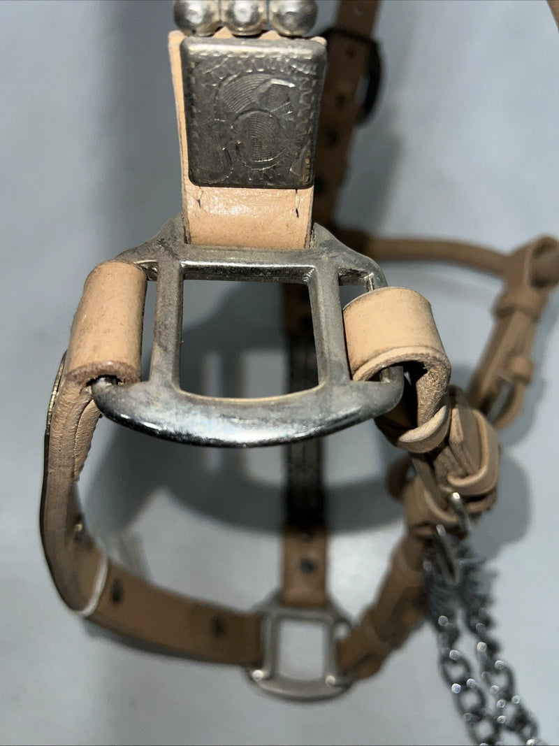 New Congress Leather Show Halter W Lead rope #6903Y U-30