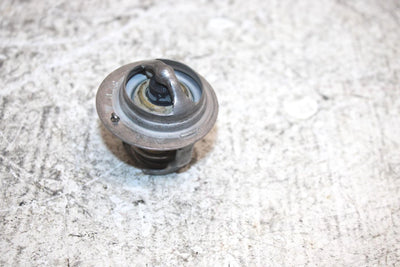 2002 Honda Foreman Rubicon Oem Thermostat 19300-HN2-003 AH36