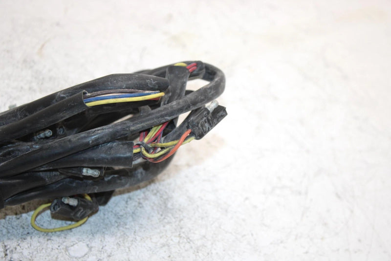 07 Arctic Cat Panther 570 Oem Main Wire Harness 1686-317 SA218