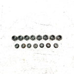 1993 Polaris Trail Boss 350L 4X4 OEM Lugnut Front/Rear Set 7542459 AP233