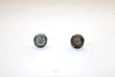 Polaris Oem Crankcase Flange Bolt Pair 3087256 Q663