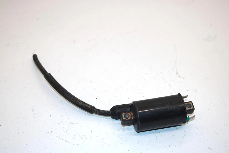 08 Arctic Cat Atv 250 Utility 2x4  Oem Ignition Coil 3303-830 AA13