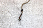 2006 Polaris Sportsman 500 Oem Rear Brake Line 1910979 AP186