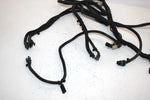 99 Polaris Magnum 500 Oem Main Wire Harness 2460699 AP52