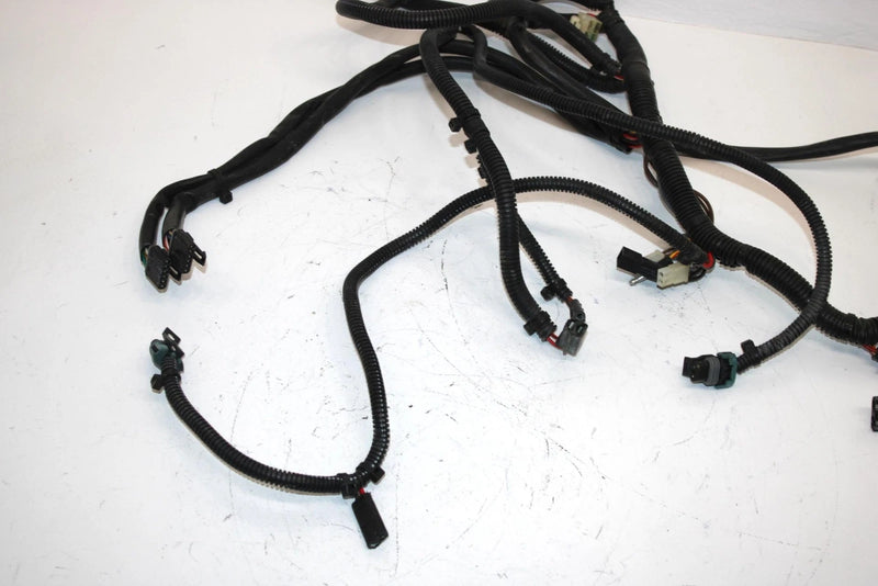 99 Polaris Magnum 500 Oem Main Wire Harness 2460699 AP52