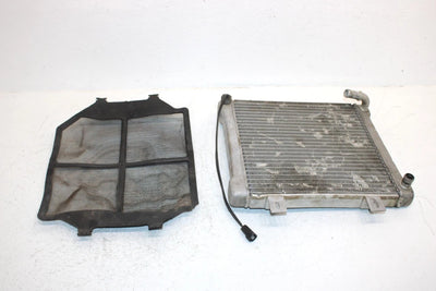 2002 Polaris Sportsman 500 Oem Radiater W/Screen 1240533 5433317 AP154
