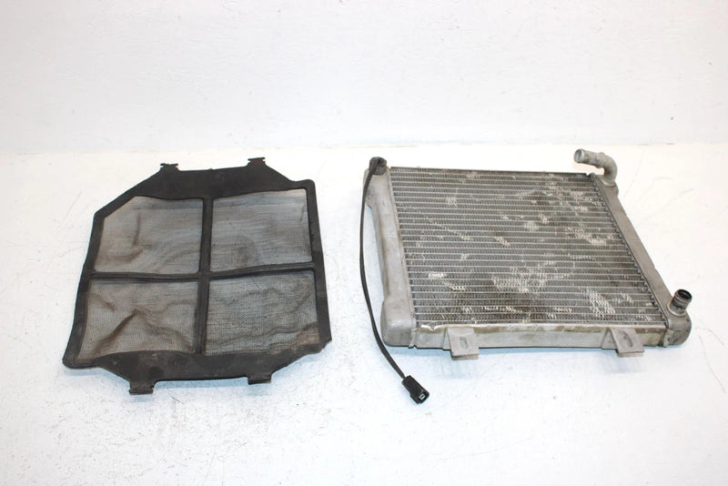2002 Polaris Sportsman 500 Oem Radiater W/Screen 1240533 5433317 AP154