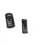 01-08 Honda Sportrax 250 TRX250 OEM Valve Spring Set 14761-HN6-000 AH83
