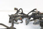 Ski-doo Oem Main Wiring Harness 515176427 B112