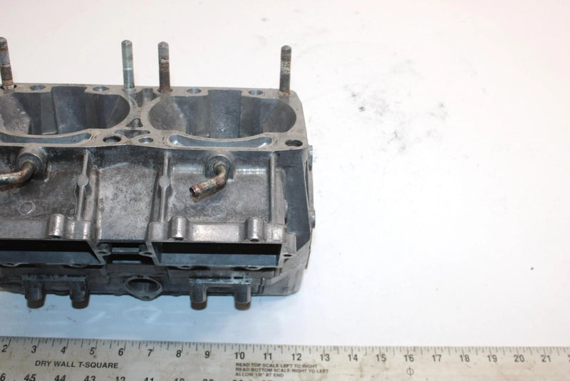 04 Arctic Cat Pantera 800 Efi Oem Crankcase W/Heat Sensor 3006-460 SAS15