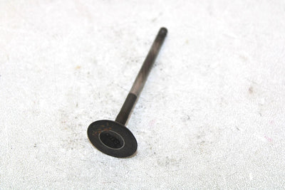 2001 Yamaha  Raptor 660r Oem Intake Valve 3YF-12111-00-00 AY33