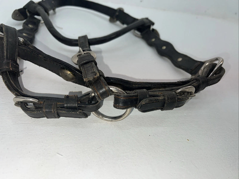 New Black Leather Full Horse Show Halter Gold accents 3C-15