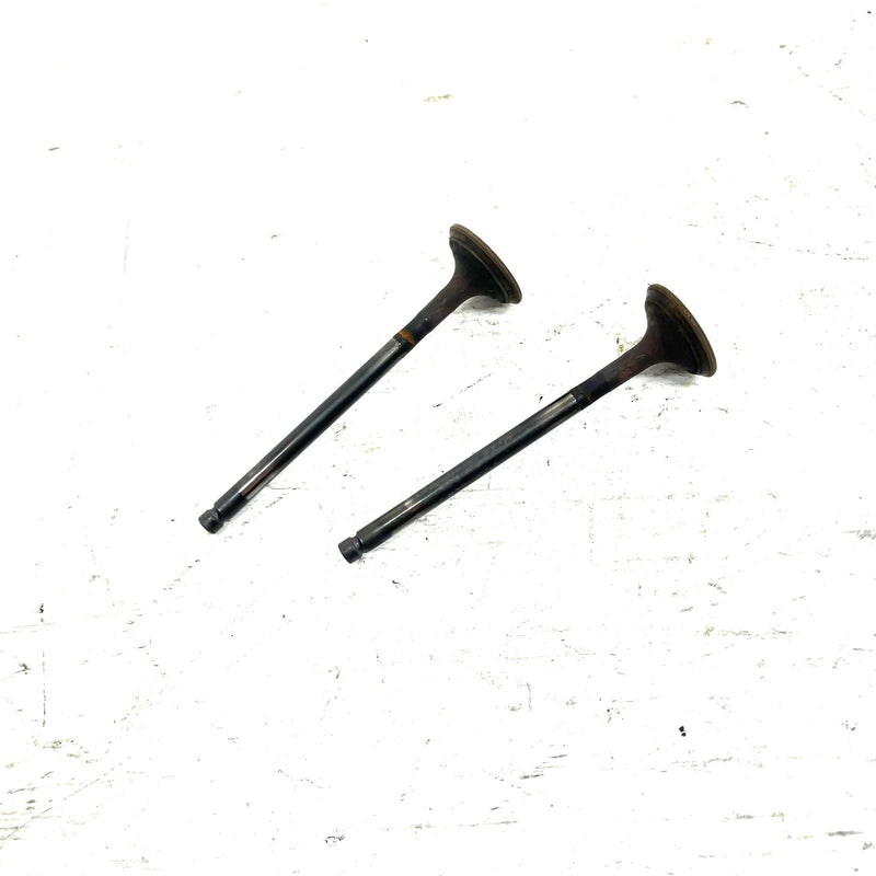 95-98 Polaris Magnum 425 4X4 OEM Exhaust Valve Pair 3085412 AP232