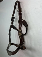 New Circle S Leather Yearling Show Halter Silver Buckles 3C-14