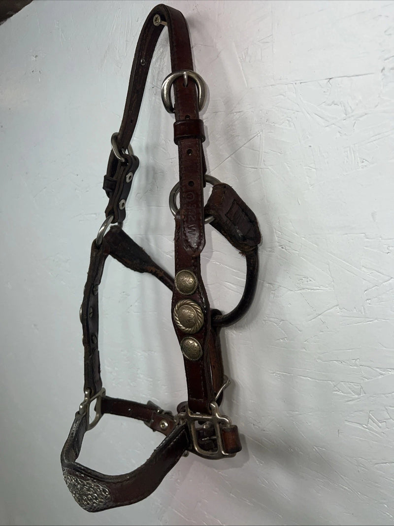 New Circle S Leather Yearling Show Halter Silver Buckles 3C-14