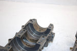 00 Arctic Cat Z 440 Oem Bare Crankcase 3005-912 SAS11