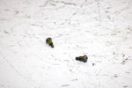 2001 Ski-doo Mxz 800 Oem Float Mount Screw Pair 404161933 SS19