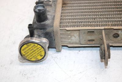 2005 Bombardier Rally 175 Oem Radiator A19100179000 AB8
