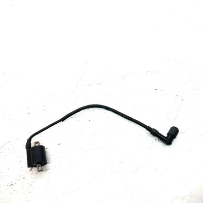 2000 Yamaha Warrior 350 YFM350X OEM Ignition Coil 3GD-82310-10-00 AY67