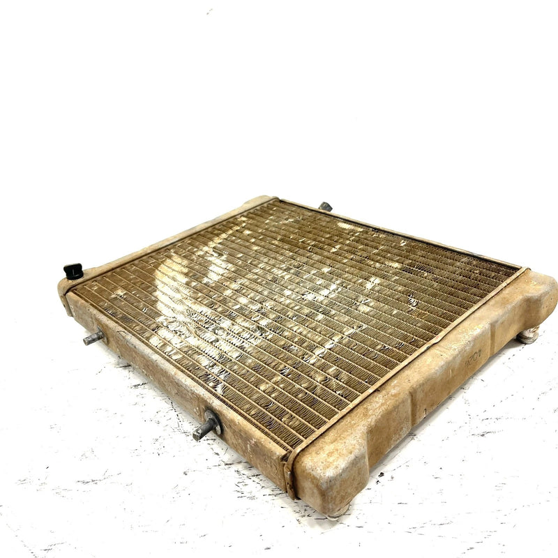 02-04 Polaris Sportsman 700 OEM Radiator 1240534 AP190