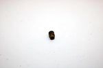 1997 Ski-doo Vmax 700 Sx Oem Needle Valve Seat 1AE-14190-12-00 Q4632
