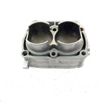 02-04 Polaris Sportsman 700 OEM 80mm Cylinder 2202158 AP219