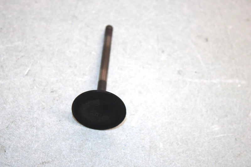 05 Yamaha  Bruin  4wd Hunter  Oem Intake Valve 1UY-12111-01-00 AY38