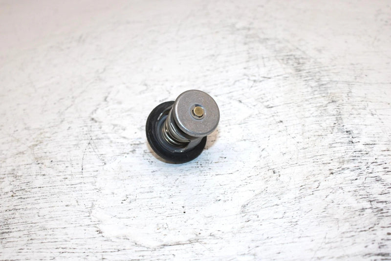 1999 Polaris 500 Xc Oem Thermostat 7052232 7052267 SP28