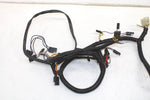 02 Polaris Rmk 600 Oem Main Engine Wiring Harness  2460932 SP198