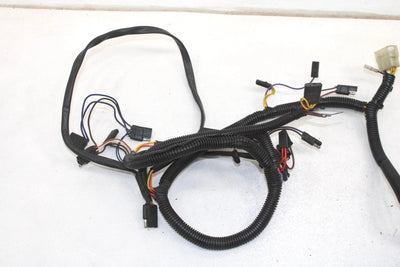 02 Polaris Rmk 600 Oem Main Engine Wiring Harness  2460932 SP198