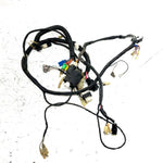 null Suzuki King Quad 300 4x4 OEM Main Wire Harness 36610-39DN0 AS34