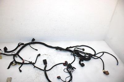 08 Arctic Cat F1000 Sno Pro Efi Oem Main Wire Harness 1686-417 SAS9