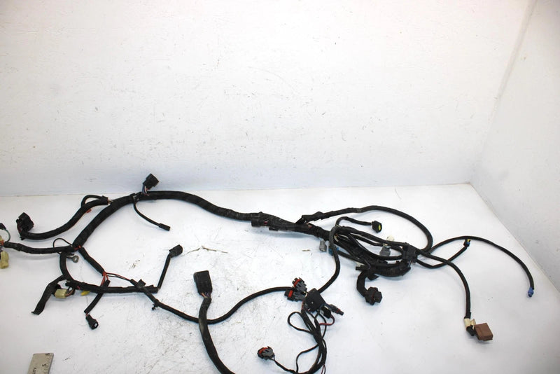 08 Arctic Cat F1000 Sno Pro Efi Oem Main Wire Harness 1686-417 SAS9