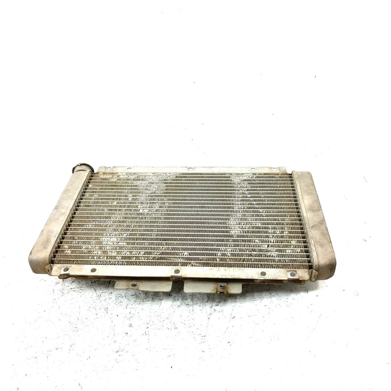 06-09 Yamaha Rhino 450 YXR450FA 4x4 OEM Radiator  5UG-E2461-00-00 XY2