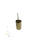 83-86 Suzuki ALT125 OEM Carb Spring W/Needle 13551-18910 AS31