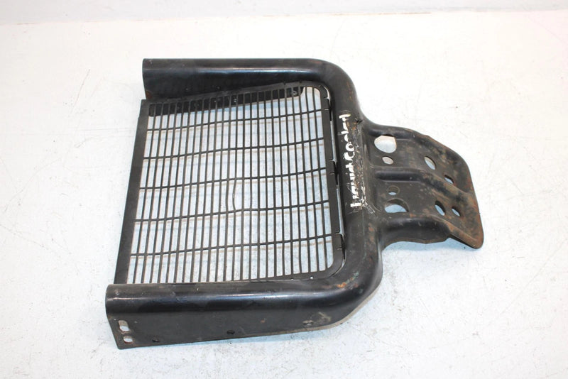 2002 Polaris Sportsman 500 Oem Front Brush Guard 5244731-067; 1013772-067 AP154