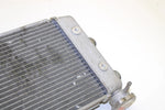 Yamaha Oem Engine Radiator 8GL-12461-00-00 B371