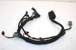 Ski-doo Oem Engine Wiring Harness 420664317 B121