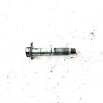 96-99 Polaris Xplorer 300 OEM Swing Arm Pivot Bolt Set 7512702 AP237