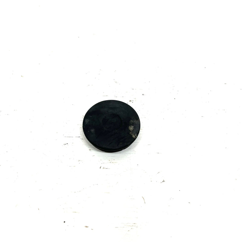 01-08 Honda Sportrax 250 TRX250 OEM Swingarm Pivot Bolt Cap 90312-HM5-670 AH83