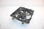 07 Polaris Sportsman 800 Efi Oem Cooling Fan 5437845 2410366 AP59