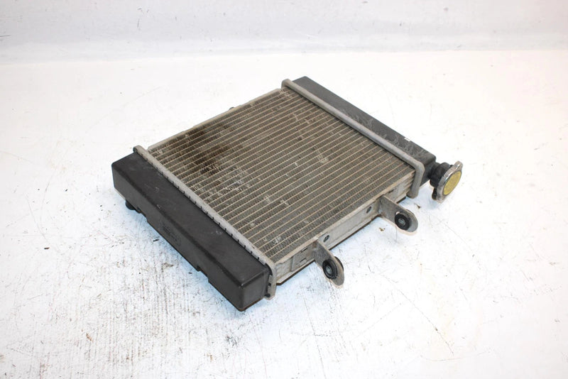 03 Bombardier Rally 175 Oem Radiator A19100179000 AB7