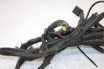 01 Arctic Cat Mountain Cat 800 Oem Main Wire Harness 0686-700 SAS9