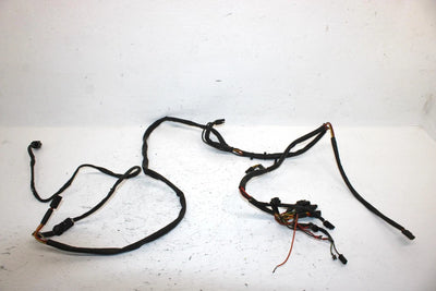 1991 Arctic Cat Lynx Deluxe Oem Main Wire Harness 0686-055 SA52