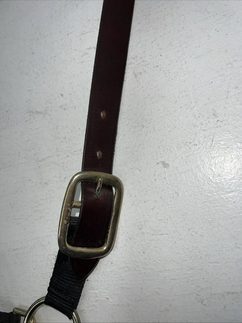 New Showman Nylon Black Halter With Genuine Leather Head Piece #6657 W-50