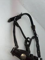 New Brown Leather Full Horse Show Halter Silver Buckles 3C-16