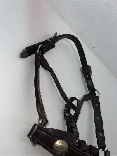 New Brown Leather Full Horse Show Halter Silver Buckles 3C-16