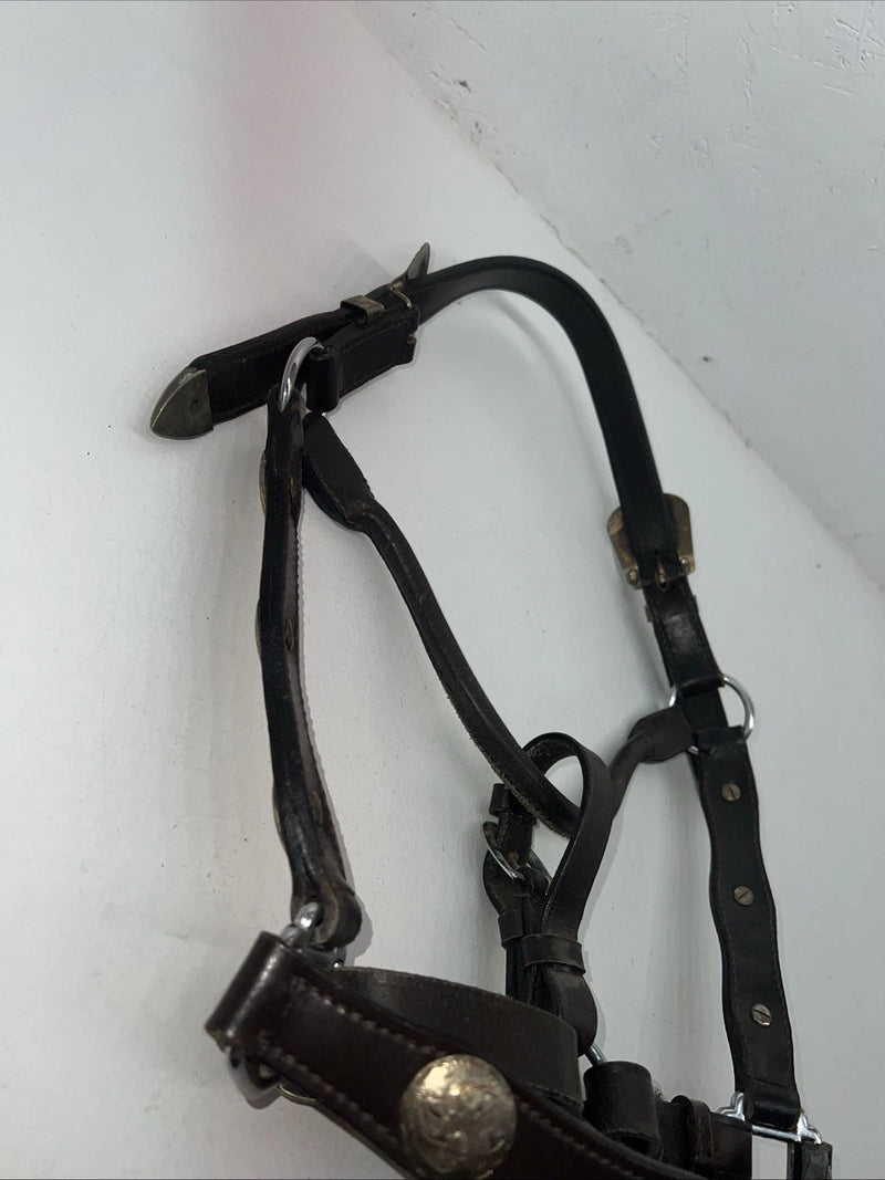 New Brown Leather Full Horse Show Halter Silver Buckles 3C-16